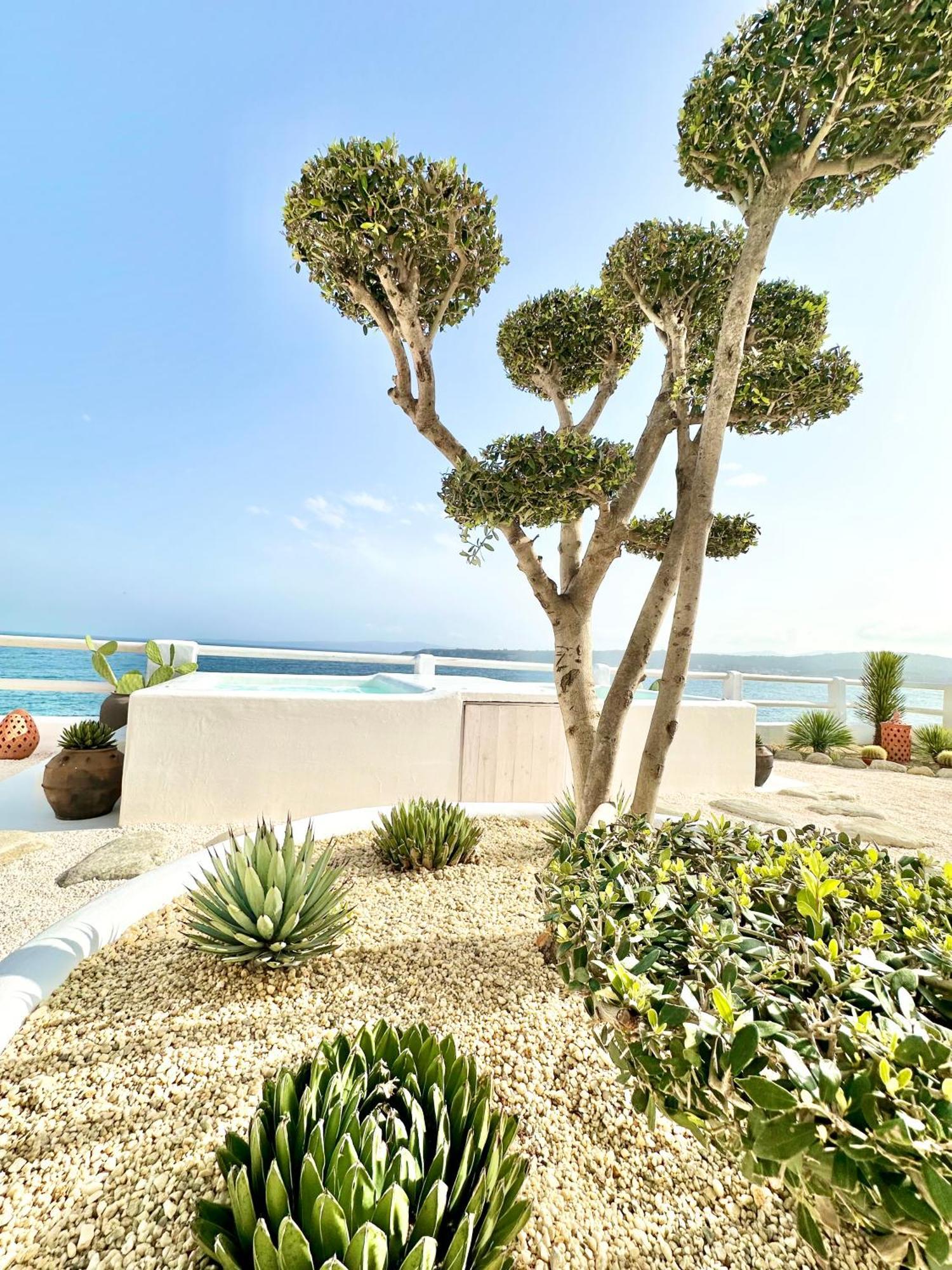 Casa De Oro Lujo Aparthotel Σωζόπολη Εξωτερικό φωτογραφία